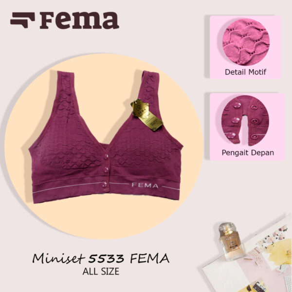 FEMA Official Shop Ecer 1 pcs Miniset Busa Sport Bra Netek Premium 5533 - Image 2