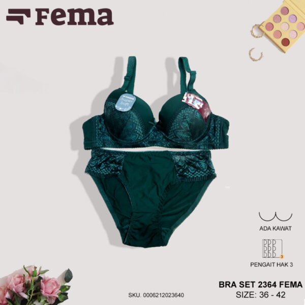 FEMA Official Shop Ecer 1 pcs BRA SET 2364 Motif Brokat CD dan Bra Kawat - Image 3