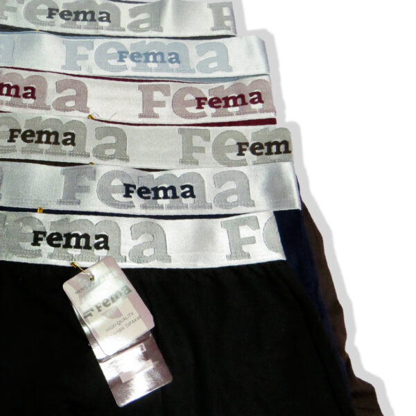FEMA Official Shop Ecer 1 pcs Celana Dalam Pria Boxer 7822 Polos Ban Silver Glossy - Image 4