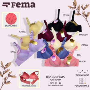 FEMA Official Shop Ecer 1 pcs Bh Bra 304 Pengait 3 Import