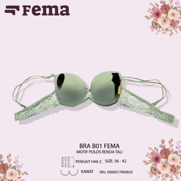 FEMA Official Shop Ecer 1 Pcs BH Bra B01 Polos Kawat Push Up Busa Tebal Tali Renda - Image 2