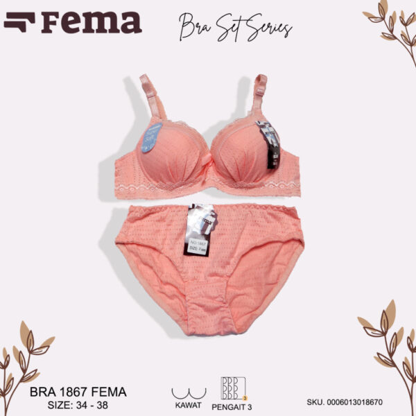 FEMA Official Shop Ecer 1 pcs Bh Bra 869/1866 Best Seller Import - Image 2
