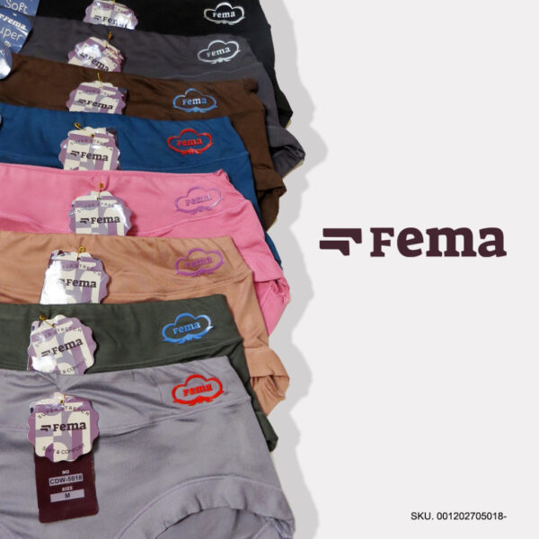 FEMA Official Shop ECER 1 pcs Celana Dalam Wanita 5019/5018 Hyget Highwaist Lis Warna JUMBO Big Size - Image 3