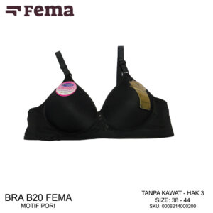 FEMA Official Shop Ecer 1 pcs Bh Bra B20 Hak 3 Full Pori Jumbo Import