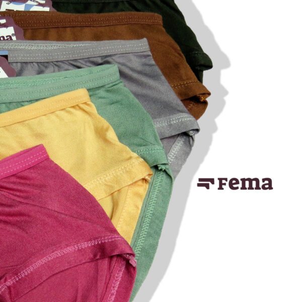 FEMA Official Shop Ecer 1 Pcs Celana Dalam Wanita 884/887 Polos Bordir Bunga Polyester - Image 5