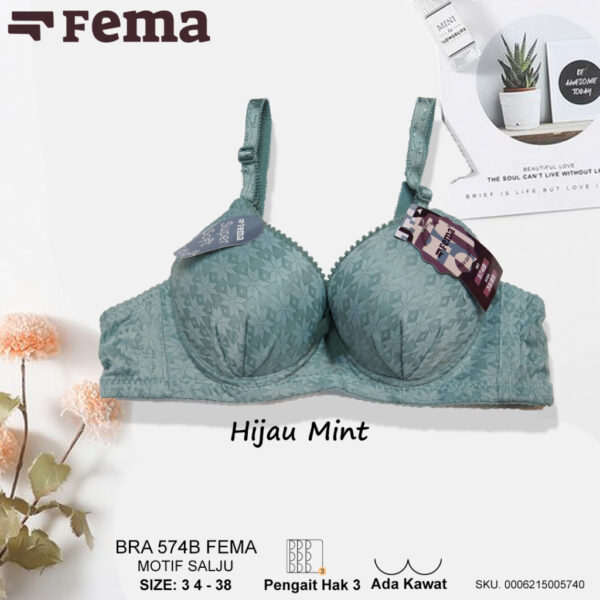 FEMA Official Shop Ecer 1 Pcs BH Bra 574B Motif Salju Kawat Cup Kecil - Image 2