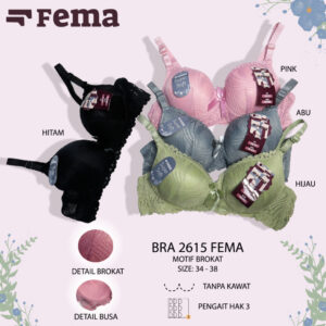 FEMA Official Shop Ecer 1 Pcs BH Bra 2615 Renda Brokat Tanpa Kawat