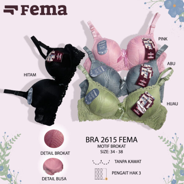 FEMA Official Shop Ecer 1 Pcs BH Bra 2615 Renda Brokat Tanpa Kawat