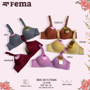 FEMA Official Shop Ecer 1 pcs Bh Bra 3015 Hak 3 Full Pori Jumbo Import
