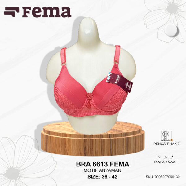 FEMA Official Shop Ecer 1 Pcs BH Bra 6613 Motif Anyaman