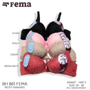 FEMA Official Shop Ecer 1 pcs Bh Bra 861 Premium Bahan Bulu Halus Lembut