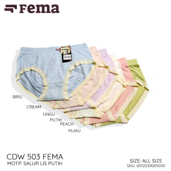 FEMA Official Shop GROSIR 1 Lusin Celana Dalam Wanita 503 Renda/ 502 Rajut - Image 4