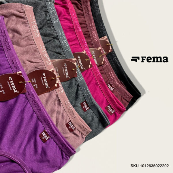 FEMA Official Shop ECER 1 pcs Celana Dalam Wanita 2220 Polos - Image 3