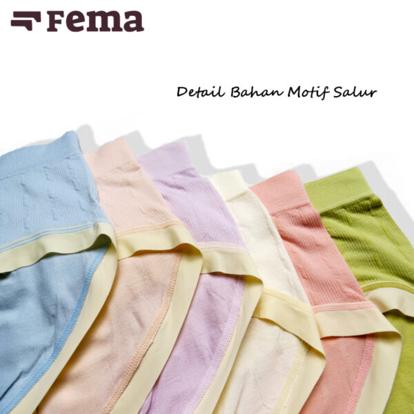 FEMA Official Shop Ecer 1 Pcs Celana Dalam Wanita 503 Warna Polos Renda - Image 3