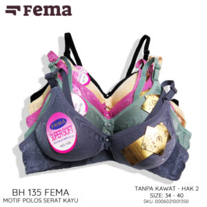 FEMA Official Shop Ecer 1 pcs Bh Bra 135 Motif Serat