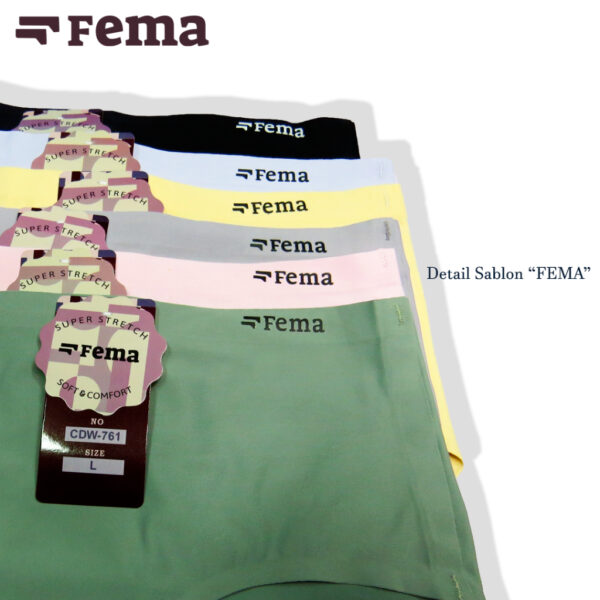 FEMA Official Shop Ecer 1 Pcs Celana Dalam Wanita 761/771 Pori Seamless Tanpa Jahitan Anti Nyeplak - Image 4