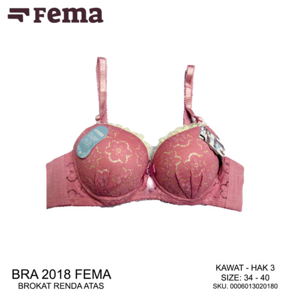 FEMA Official Shop Ecer 1 pcs Bh Bra 2018 Renda Brokat Bunga - Image 5