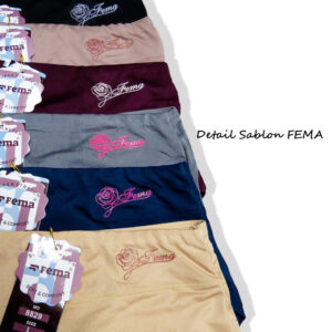 FEMA Official Shop GROSIR 1 Lusin Celana Dalam Wanita 8829 Polos Sablon