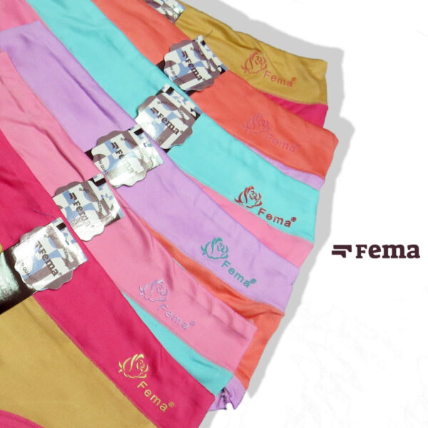 FEMA Official Shop Ecer 1 Pcs Celana Dalam Wanita 889 Polos Warna Sablon Timbul - Image 3