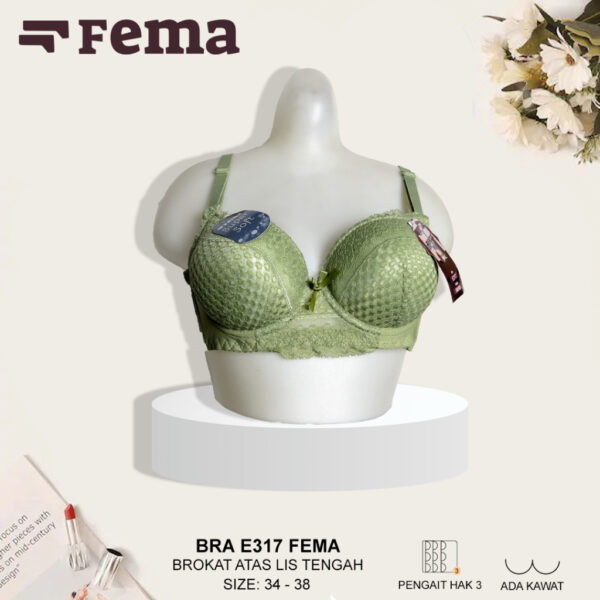 FEMA Official Shop Ecer 1 Pcs BH Bra E317 Renda Atas Cup Kecil Kawat - Image 2