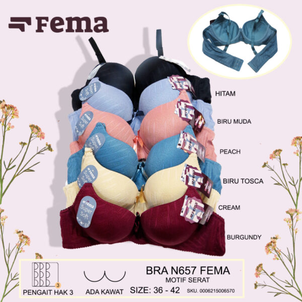 FEMA Official Shop Ecer 1 Pcs BH Bra N657 Motif Serat Kawat