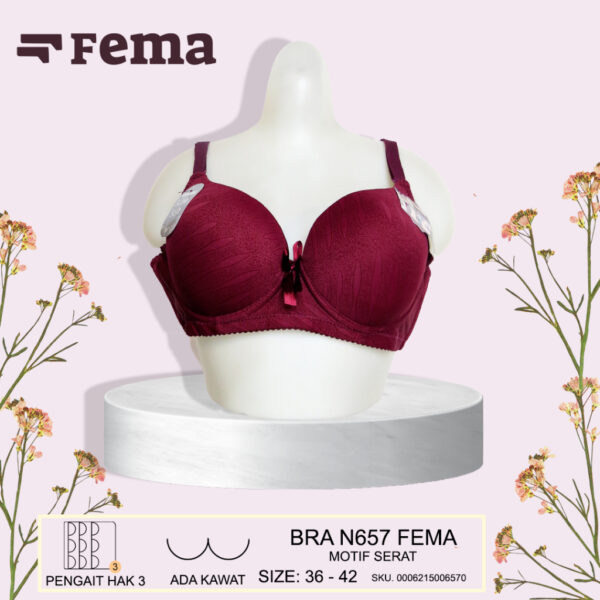 FEMA Official Shop Ecer 1 Pcs BH Bra N657 Motif Serat Kawat - Image 5
