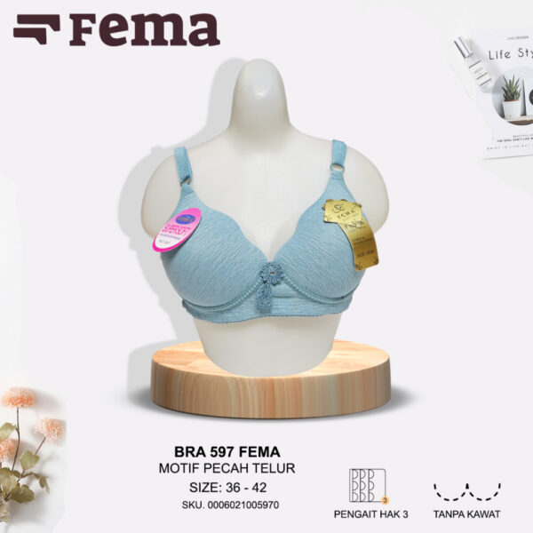 FEMA Official Shop Ecer 1 pcs Bh Bra 597 Pecah Telur Motif Sembur Tanpa Kawat - Image 4