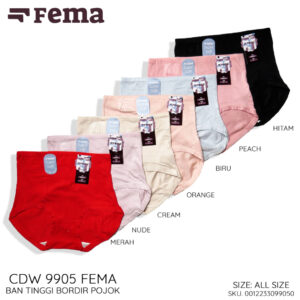 FEMA Official Shop Ecer 1 Pcs Celana Dalam Wanita 9905 Ban Tinggi Highwaist Katun Polos
