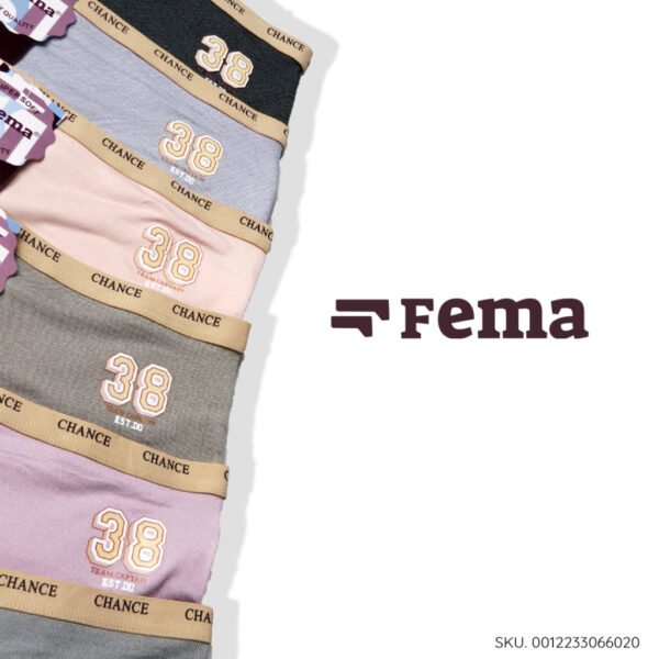 FEMA Official Shop Ecer 1 Pcs Celana Dalam Wanita 6602 Polos Ban Huruf Bordir Angka - Image 5
