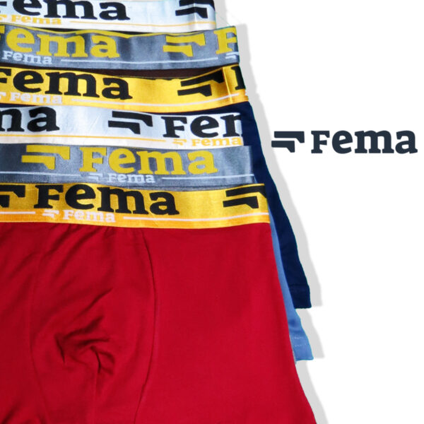FEMA Official Shop Ecer 1 pcs Celana Dalam Boxer Pria 156 Spandex - Image 4