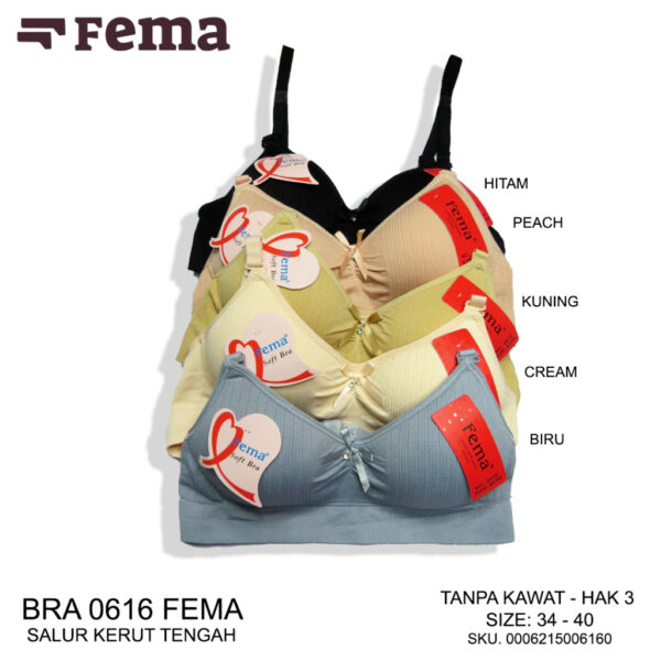 FEMA Official Shop Ecer 1 pcs BH Bra 0616 Salur Kerut Tengah Ban Karet