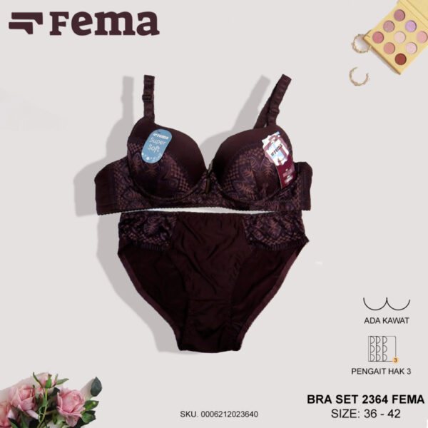 FEMA Official Shop Ecer 1 pcs BRA SET 2364 Motif Brokat CD dan Bra Kawat - Image 5