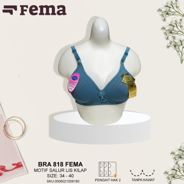 FEMA Official Shop Ecer 1 Pcs BH Bra 818 Cup Kecil Salur Lis Kilap - Gambar 3