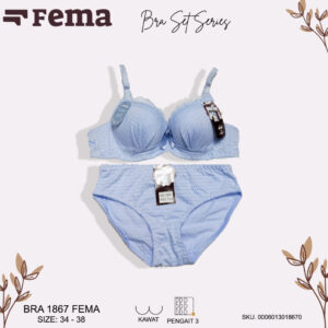 FEMA Official Shop Ecer 1 pcs Bh Bra 869/1866 Best Seller Import
