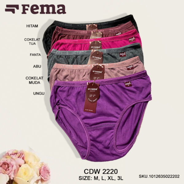 FEMA Official Shop ECER 1 pcs Celana Dalam Wanita 2220 Polos - Image 2