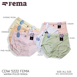 FEMA Official Shop Ecer 1 Pcs Celana Dalam Wanita 5222 Warna Polos Pita Renda