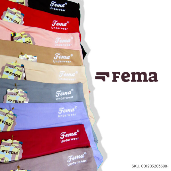 FEMA Official Shop GROSIR 1 LUSIN Celana Dalam Wanita 3588 Polos Sablon Huruf - Image 5