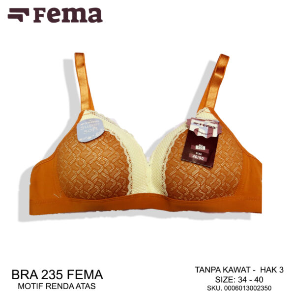 FEMA Official Shop Ecer 1pcs Bra BH Premium Seamless 235 Renda Halus - Image 4