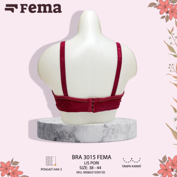 FEMA Official Shop Ecer 1 pcs Bh Bra 3015 Hak 3 Full Pori Jumbo Import - Image 5