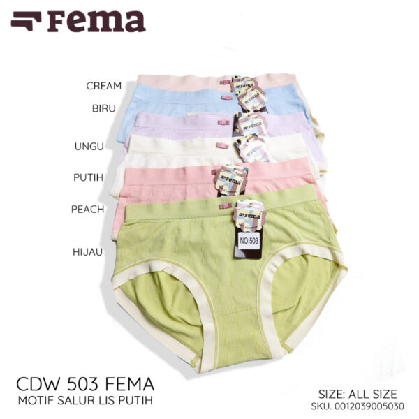 FEMA Official Shop Ecer 1 Pcs Celana Dalam Wanita 503 Warna Polos Renda