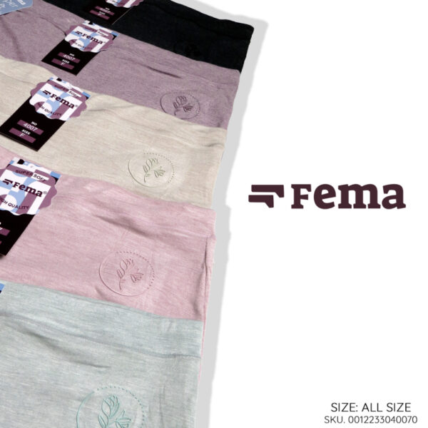FEMA Official Shop Ecer 1 Pcs Celana Dalam Wanita 4007 Polos Bordir Bunga - Image 3