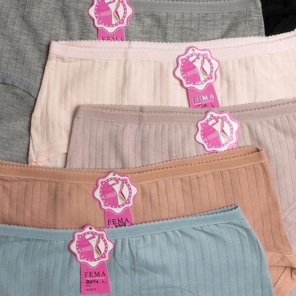 FEMA Official Shop Ecer 1 Pcs Celana Dalam Wanita 2234 Salur - Gambar 3