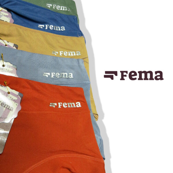FEMA Official Shop ECER 1 pcs Celana Dalam Wanita 1131 Highwaist Polos Emboss Fema - Gambar 3
