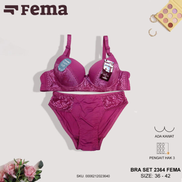FEMA Official Shop Ecer 1 pcs BRA SET 2364 Motif Brokat CD dan Bra Kawat - Image 4
