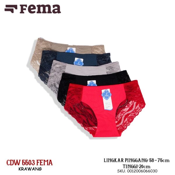 FEMA Official Shop Ecer 1 pcs Celana Dalam Wanita Krawang B48/753/6603 - Image 2