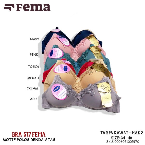 FEMA Official Shop Ecer 1 pcs BH Bra 517 Renda Atas