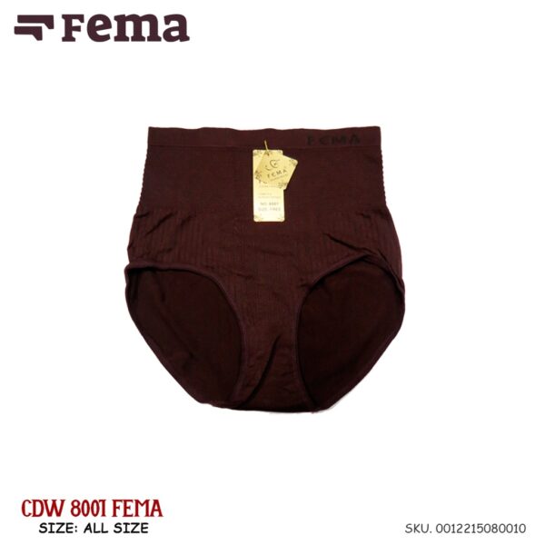 FEMA Official Shop Celana Dalam Wanita Maxi 8001 Rajut - Image 3