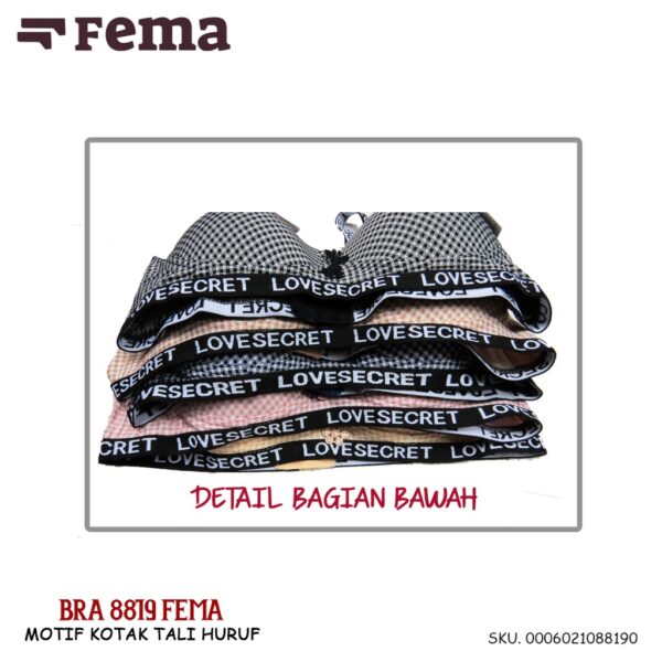 FEMA Official Shop Ecer 1 pcs Bh Bra 8819 Kotak Lis Secret - Image 2