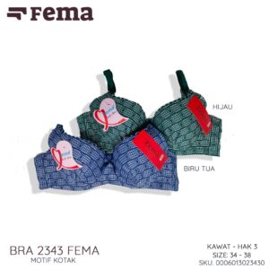 FEMA Official Shop Ecer 1 pcs BH Bra 2343 Kotak Kawat