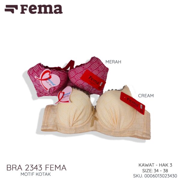 FEMA Official Shop Ecer 1 pcs BH Bra 2343 Kotak Kawat - Image 2